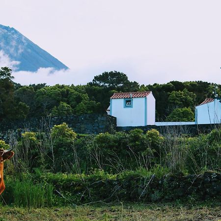 Casa Do Paim Villa São Roque do Pico Buitenkant foto