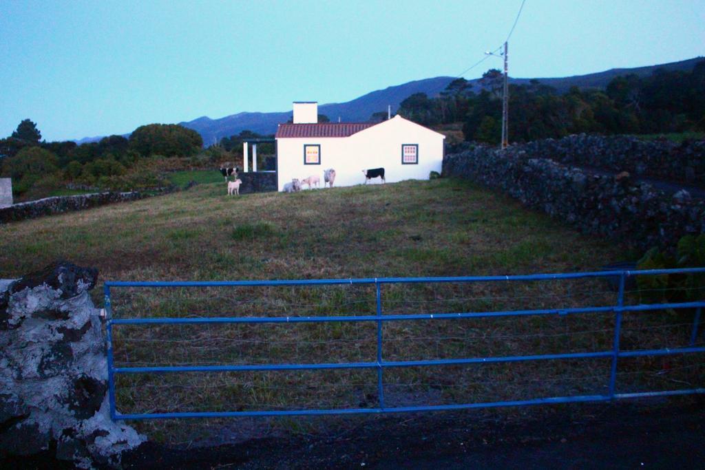Casa Do Paim Villa São Roque do Pico Buitenkant foto