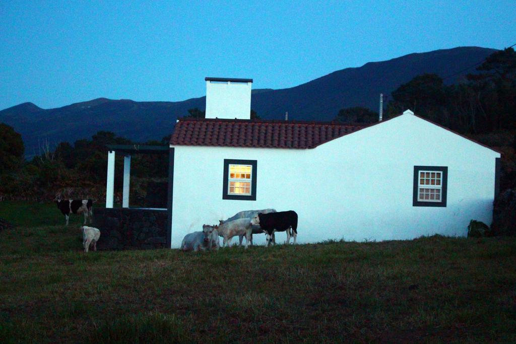 Casa Do Paim Villa São Roque do Pico Buitenkant foto